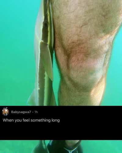 That’s Remora
