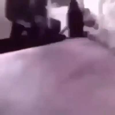 Roach