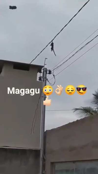 Magagu