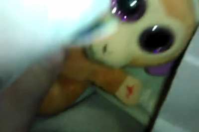 Did Somebody Say Yoga? But with stuffed animals