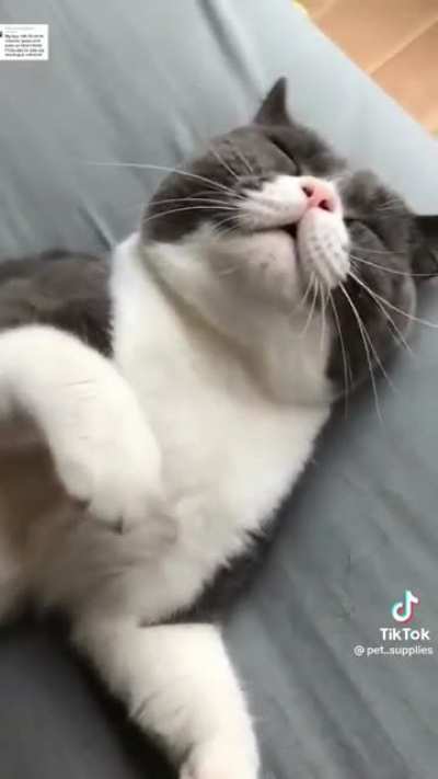 Eyebleach &auml;