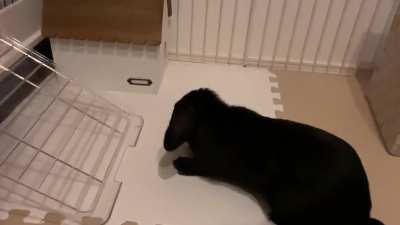 Big slo-mo binky