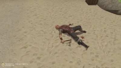 [Blade &amp;amp; Sorcery] 'Tis a flesh wound!