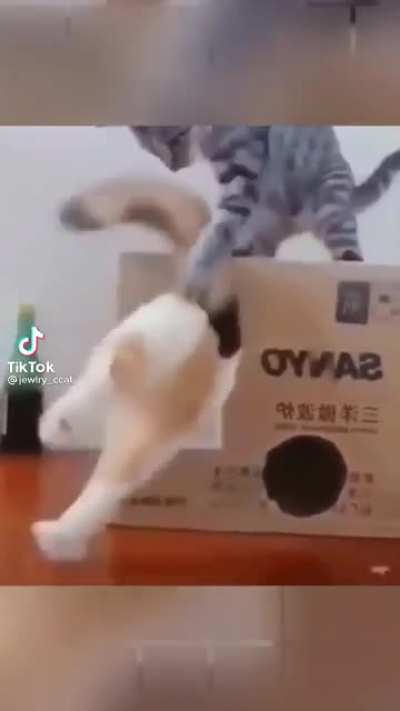 Needs more claw and less paw