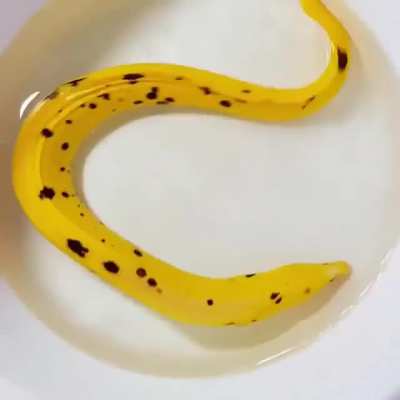 The swimming banana