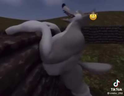 Wtf is this shit