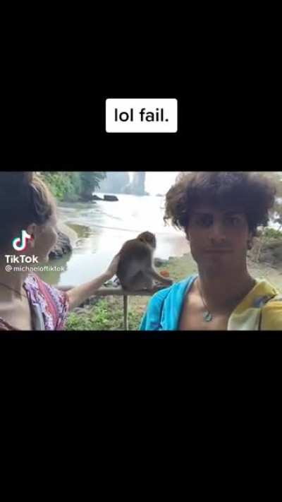 🐒