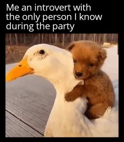 I got you homie