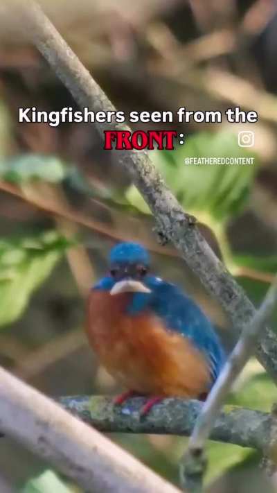 Very disturbing