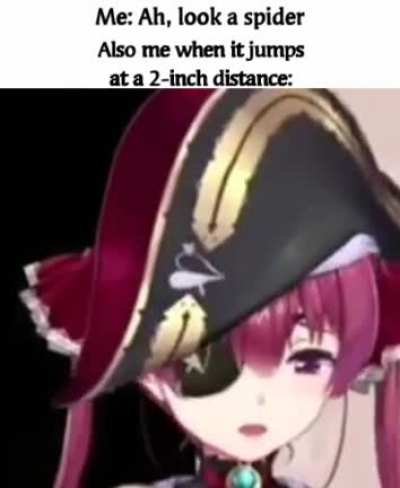 Confused Screaming*