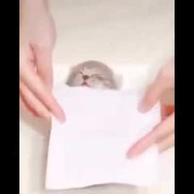 :0