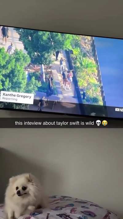 Losercity Swiftie