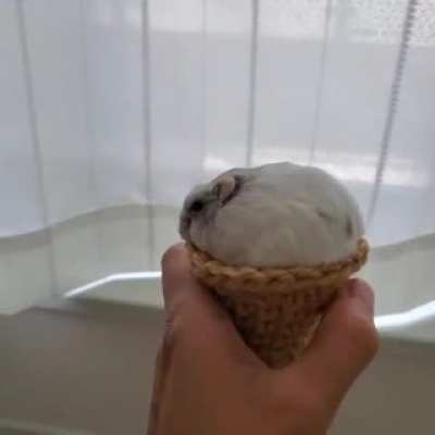 Ice cream🍦