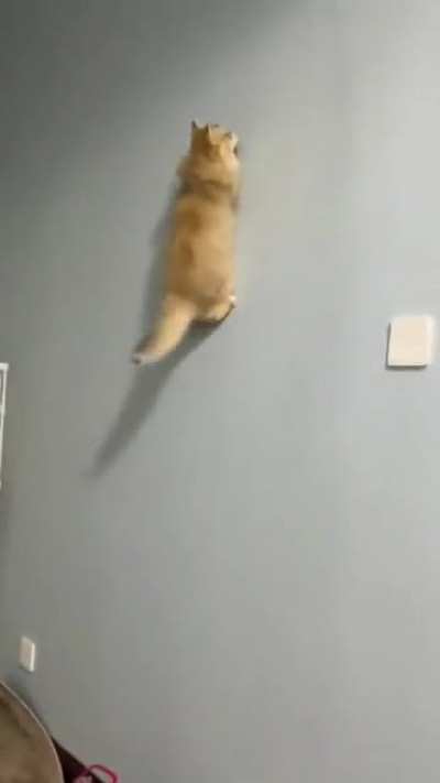 Gravity? What&rsquo;s that?