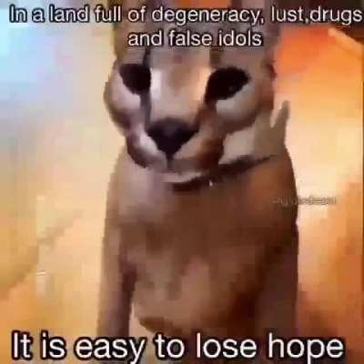 Stay Pure Brother