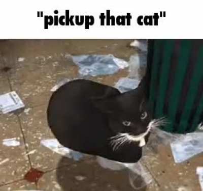 rule