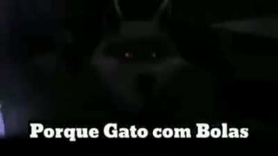 cena cortada do gato de bolas