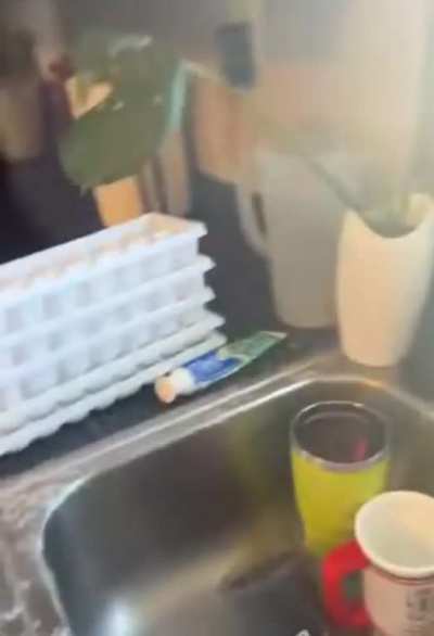 HMC while I open this bottle