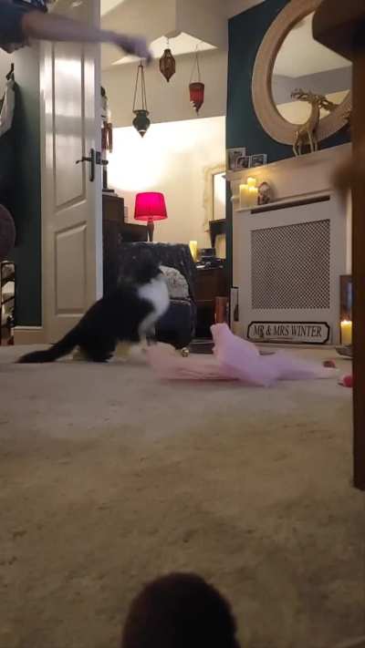 Molly Moo jumps for the first time.