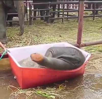 Bath time