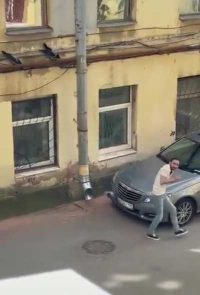 crows protecting thier frined