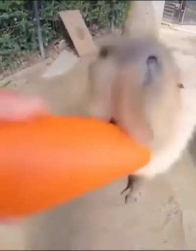 sharing is caring
