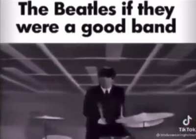 Beetles