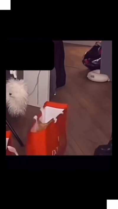 Q v&iacute;deo bom KKKKKKK