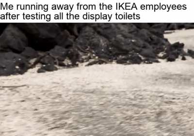 Can confirm, they work