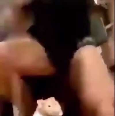 Hampster