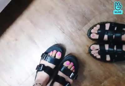 (G)I-DLE - Minnie (left) &amp;amp; Miyeon (right)