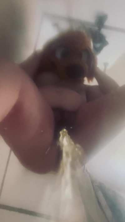 Catch all this pup piss!