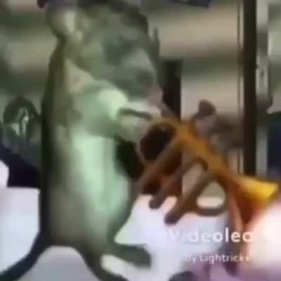 Ratrompeta