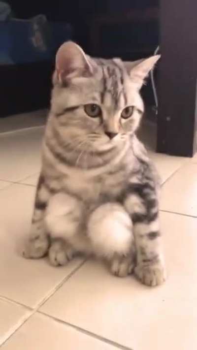 keeps sitting like this and it makes me so uncomfortable." He sat like an gangster.