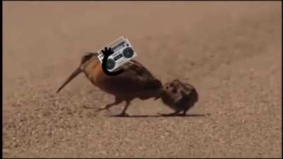 That&rsquo;s my jam!