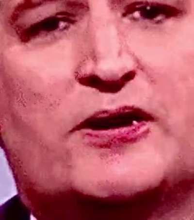 Ted&rsquo;s tasty treat