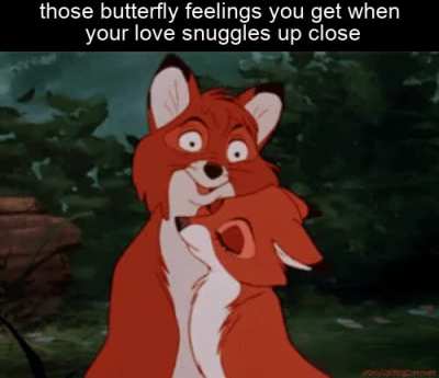 makes me feel all fuzzy inside