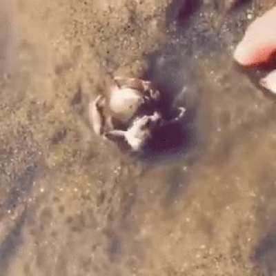 Please don&rsquo;t take my friend!