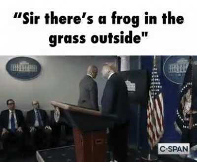 🐸