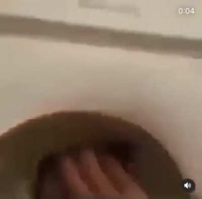 what the fuck