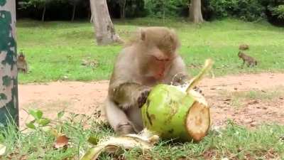I am hungry