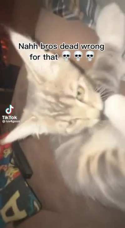 Agoi