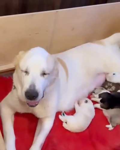 happy mother. 
