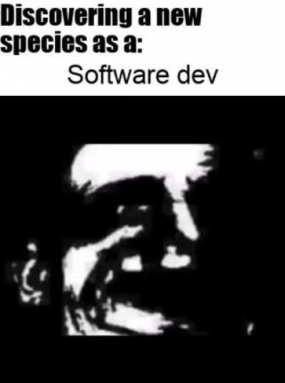 Me irl
