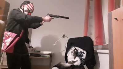 Payday 2 cat heist leak (real)