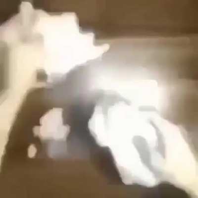 😿