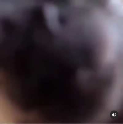 monke
