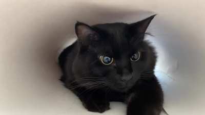 Juliet&rsquo;s pupils