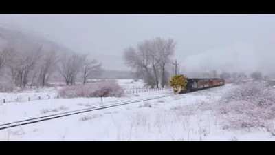 DIO becomes a train