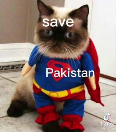Pakistani Navika
